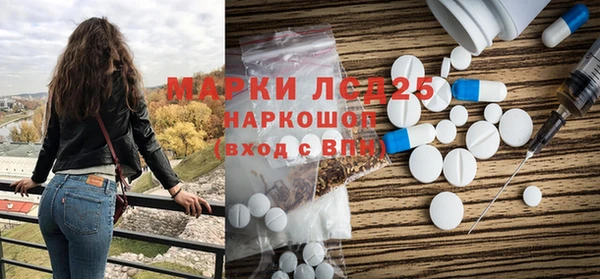 PSILOCYBIN Алзамай