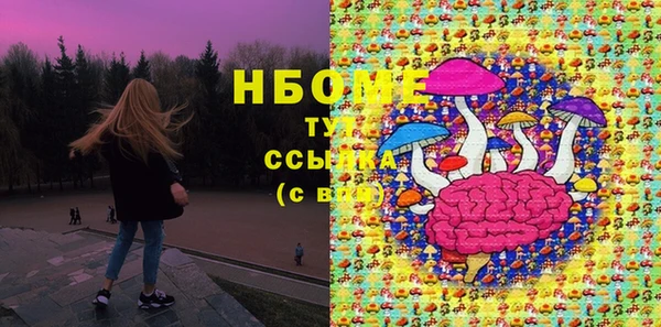 PSILOCYBIN Алзамай