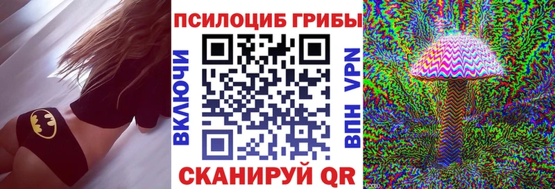 Псилоцибиновые грибы GOLDEN TEACHER  цены наркотик  Татарск 