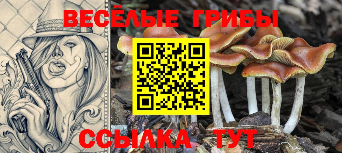 Галлюциногенные грибы Psilocybine cubensis  Вход с VPN  Галлюциногенные грибы MAGIC MUSHROOMS  Татарск 