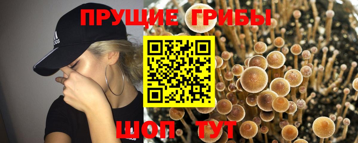 Псилоцибиновые грибы Magic Shrooms Татарск